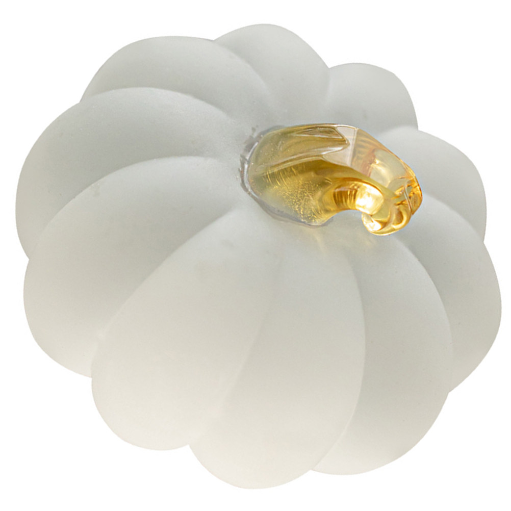 Pumpkin Shape Crystal Glass Pa - Paper Weight Crystal recensie en prijs