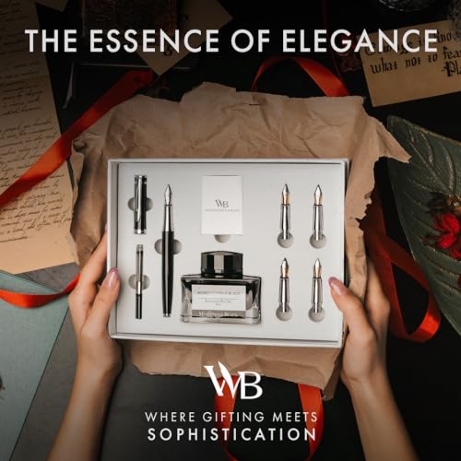 Fountain Pen Gift Set, Include - Fountain Pen Bottled Ink recensie en prijs